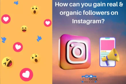 How Can You Gain Real Organic Followers on Instagram