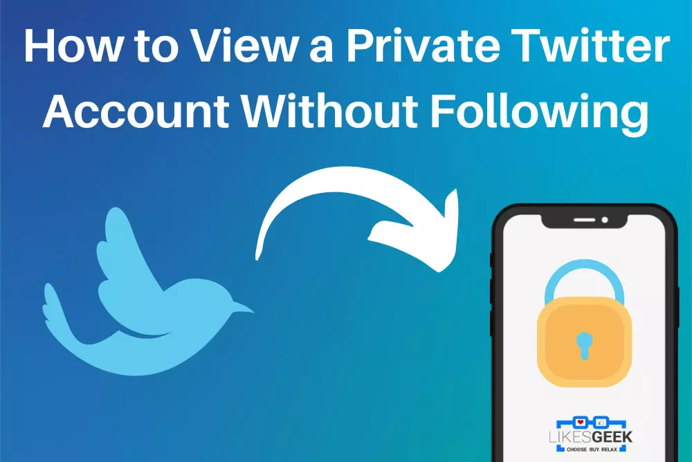 How to View a Private Twitter Account without Following?