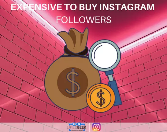 Is het duur om Instagram-volgers te kopen?