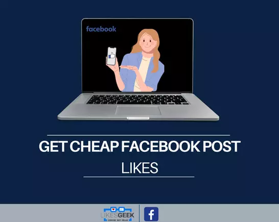 How do the services provided by Likes Geek compare with Facebook campaigns and ads?