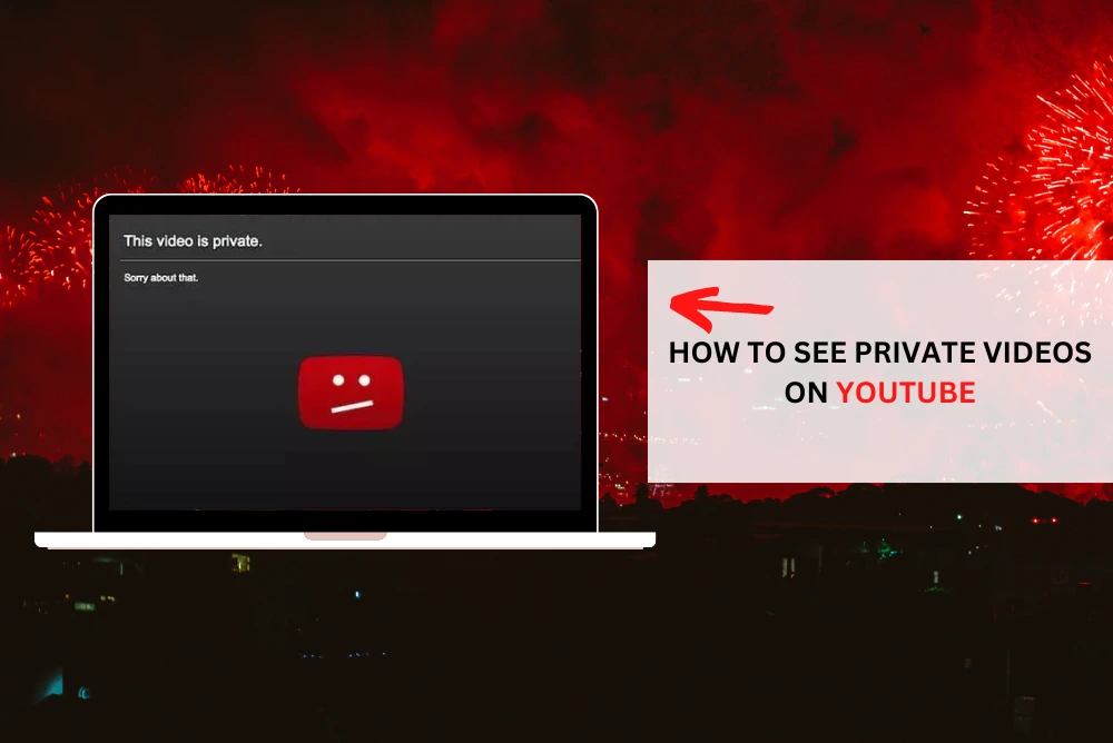 How to See Private Videos on YouTube?