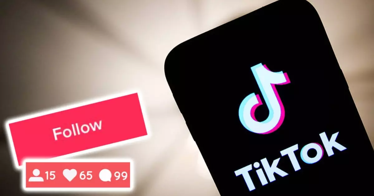 Why Do You Wish to Increase Your TikTok Following