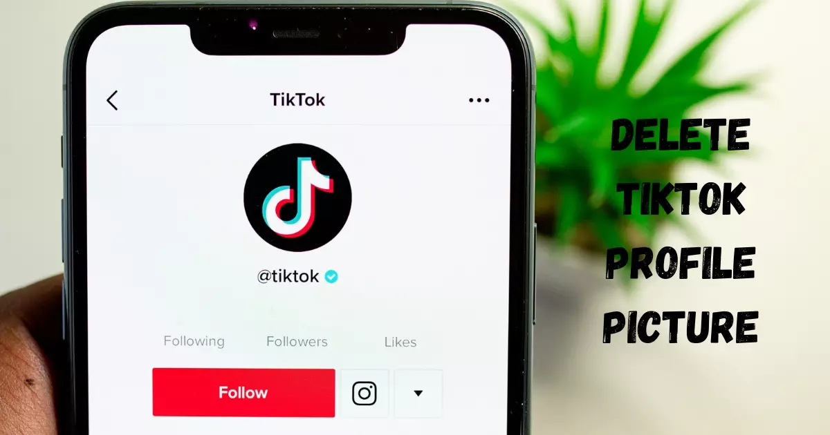 Delete TikTok Profile Picture