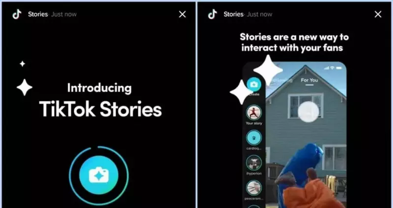 EFFECTIVE IS TIKTOK STORY