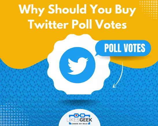 Why Should You Buy Twitter Poll Votes?
