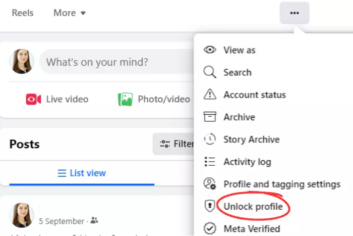 how to lock facebook profile in chrome