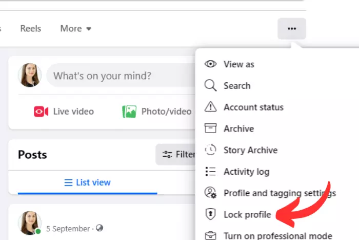 Lock Your Facebook Profile