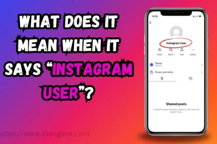What Does It Mean When It Says Instagram User