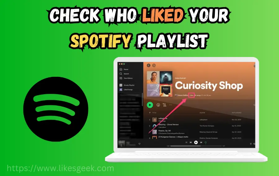 How to Check Who Liked Your Spotify Playlist?